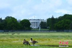 美法官暂时允许美国政府继续推进联邦雇员“买